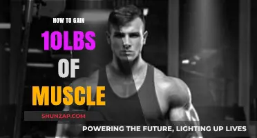Effective Strategies to Build 10 Pounds of Muscle Mass Fast
