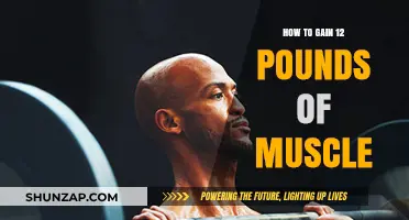 Effective Strategies to Build 12 Pounds of Muscle Mass Quickly