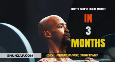 Effective Strategies to Build 15 Pounds of Muscle in 3 Months