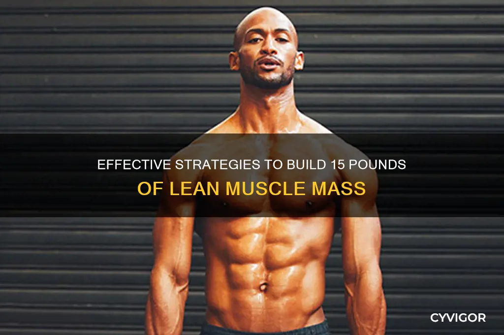 how to gain 15 pounds of lean muscle