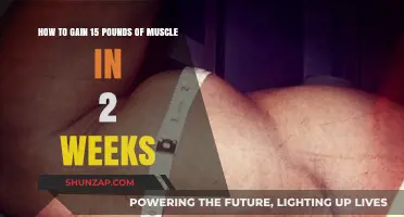 Rapid Muscle Gain: Strategies to Pack on 15 Pounds in 2 Weeks