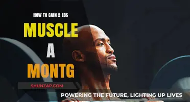 Effective Strategies to Build 2 Pounds of Muscle Monthly