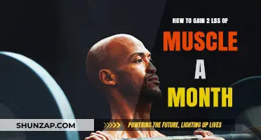 Effective Strategies to Build 2 Pounds of Muscle Monthly