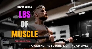Effective Strategies to Build 20 Pounds of Muscle Mass Fast