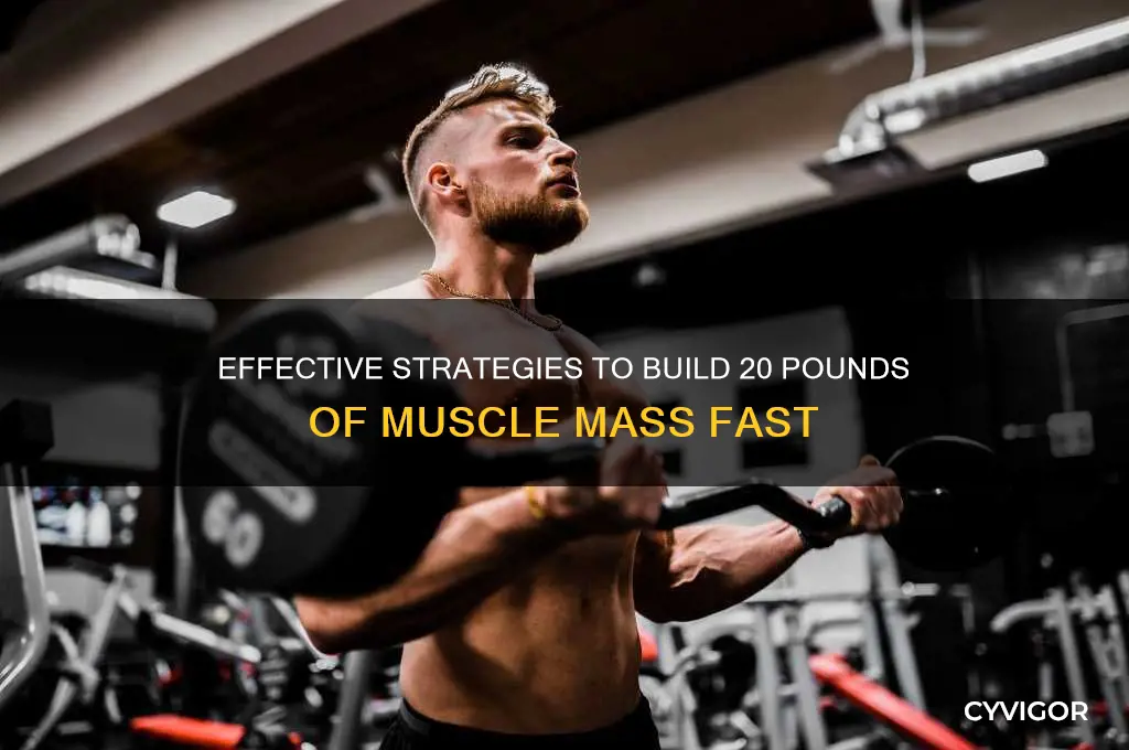 how to gain 20 lbs of muscle