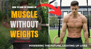 Build 20 Pounds of Muscle Using Bodyweight Training Techniques