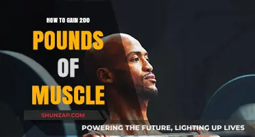 Ultimate Muscle Building Guide: Gain 200 Pounds of Mass Fast