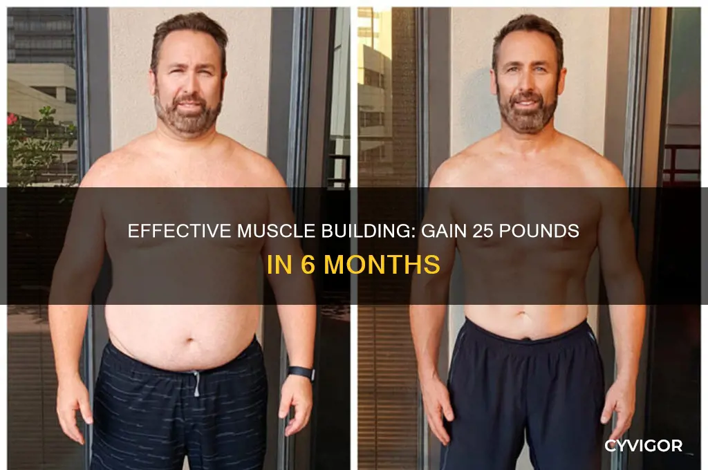 how to gain 25 pounds of muscle in 6 months