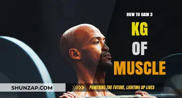 Effective Strategies to Build 3 kg of Muscle Mass Quickly