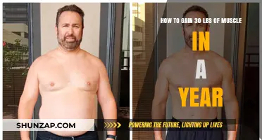 Effective Muscle Building: Gain 30 Pounds in a Year