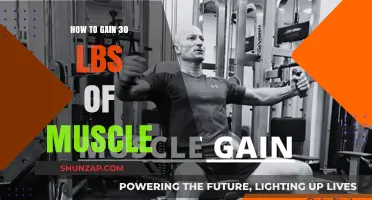 Effective Strategies to Pack on 30 Pounds of Lean Muscle Mass