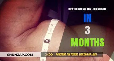 Rapid Muscle Growth: 3-Month Plan for 40 Lbs Lean Gains