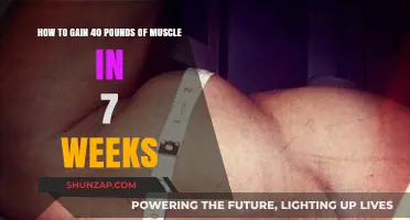 Rapid Muscle Growth: 7-Week Plan to Pack on 40 Pounds