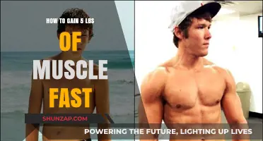 Quick Muscle Gain Strategies: Add 5 Pounds Fast and Effectively
