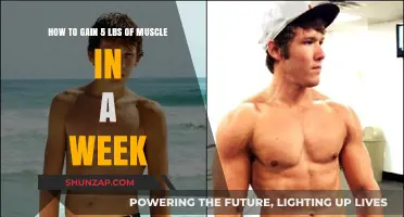 Rapid Muscle Gain: Strategies to Add 5 Pounds in a Week