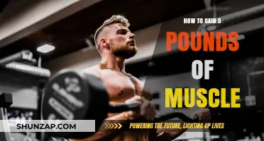 Effective Strategies to Build 5 Pounds of Muscle Mass Quickly