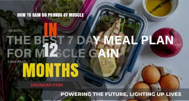 Maximize Muscle Growth: 12-Month Plan to Gain 50 Pounds