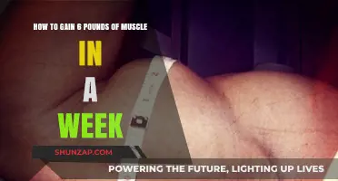 Rapid Muscle Gain: Strategies to Add 6 Pounds in a Week