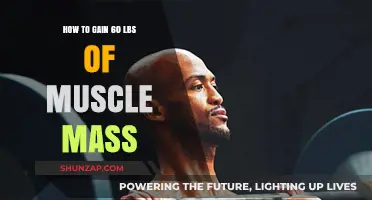 Effective Strategies to Pack on 60 Pounds of Lean Muscle Mass