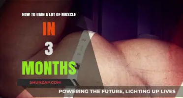 Rapid Muscle Growth: 3-Month Plan for Maximum Gains