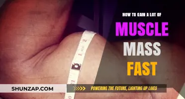 Rapid Muscle Mass Gain: Proven Strategies for Quick Results