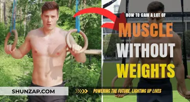 Build Massive Muscle Naturally: Effective Bodyweight Training Strategies Revealed