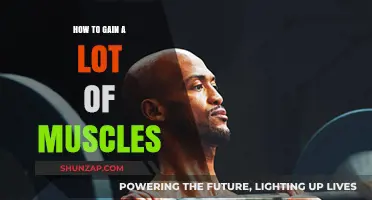 Effective Strategies for Rapid Muscle Gain and Strength Building