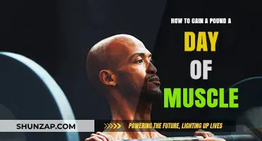 Maximize Muscle Growth: Proven Strategies to Gain a Pound Daily