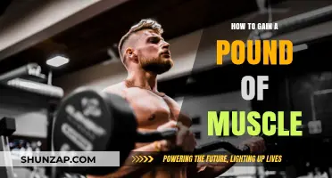 Effective Strategies to Build a Pound of Muscle Mass Quickly