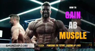Effective Strategies to Build and Define Your Abdominal Muscles