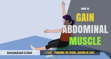 Effective Strategies for Building Strong, Defined Abdominal Muscles Fast