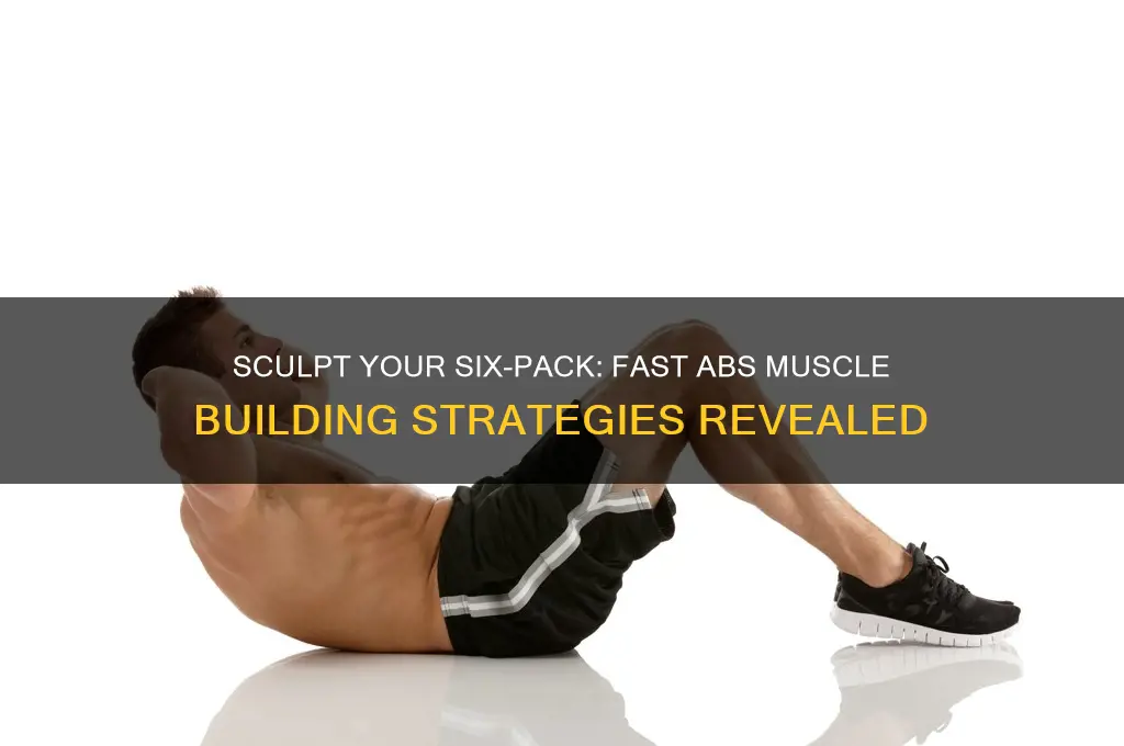 how to gain abs muscle fast