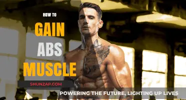 Sculpting a Six-Pack: Proven Strategies for Building Visible Abs