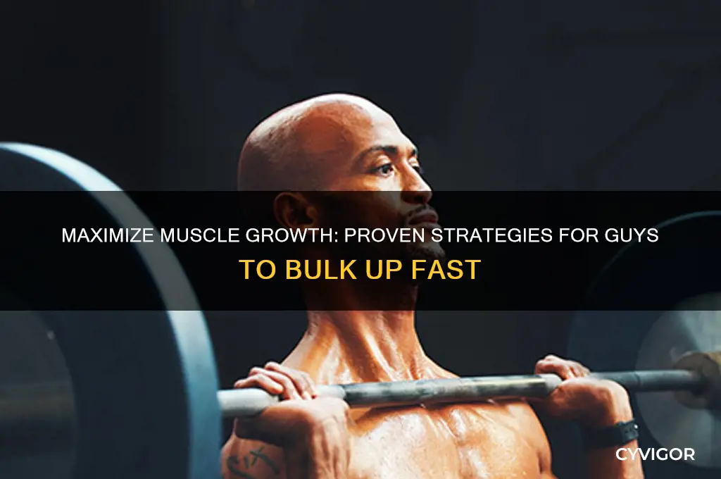 how to gain alot of muscle guy