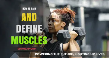 Effective Muscle Building: Strategies to Gain and Define Your Physique