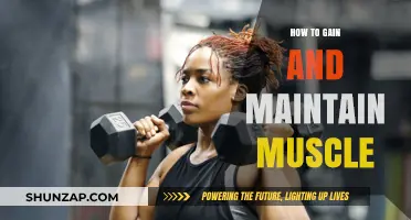 Effective Strategies for Building and Sustaining Muscle Mass Long-Term