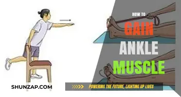 Strengthen Your Ankles: Effective Exercises to Build Muscle and Stability