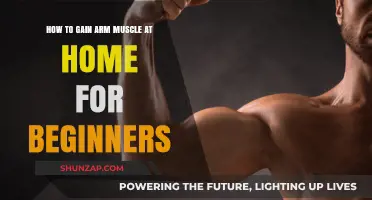 Build Stronger Arms: Beginner-Friendly Home Workouts for Muscle Growth