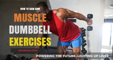 Effective Dumbbell Workouts for Building Stronger, Bigger Arm Muscles