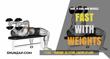 Build Bigger Arms Fast: Effective Weight Training Tips for Muscle Growth