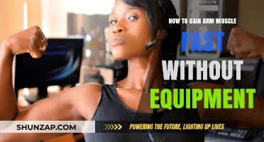 Build Stronger Arms Quickly: Equipment-Free Muscle-Building Techniques Revealed