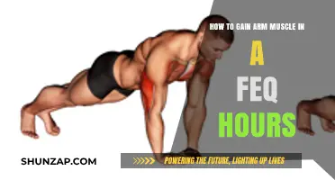 Quick Arm Muscle Gains: Effective Techniques for Rapid Results