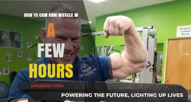 Quick Arm Muscle Gains: Effective Techniques for Rapid Results