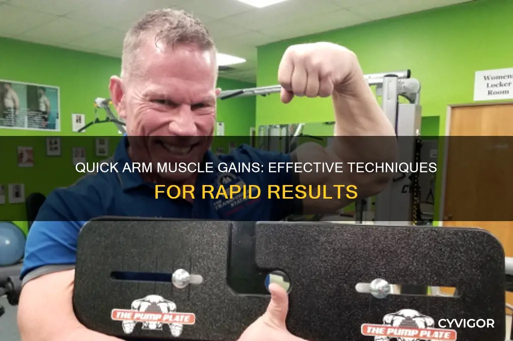 how to gain arm muscle in a few hours