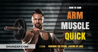 Effective Arm Muscle Building: Quick Tips for Stronger, Toned Arms