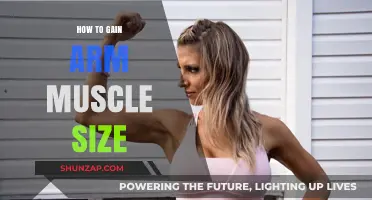 Effective Arm Muscle Building: Tips for Bigger, Stronger Arms Fast