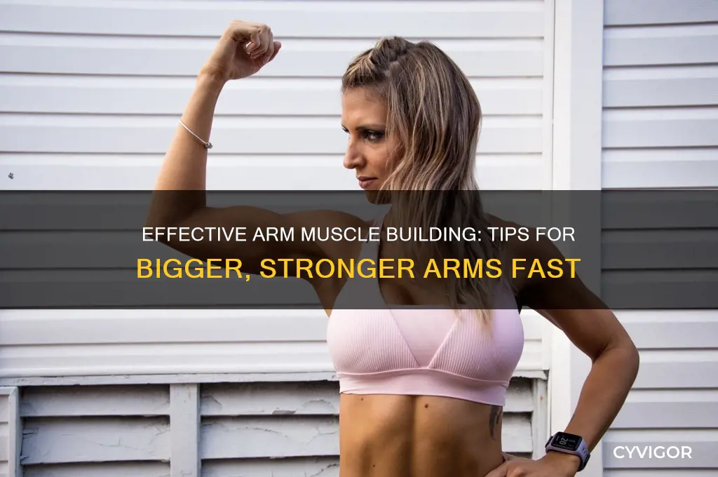 how to gain arm muscle size