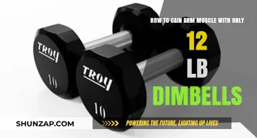 Build Stronger Arms: Effective 12-Lb Dumbbell Muscle-Building Techniques