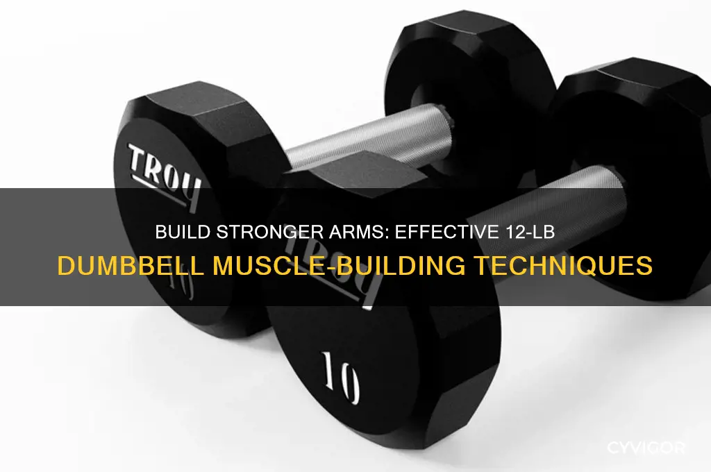 how to gain arm muscle with only 12 lb dimbells