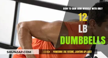 Build Strong Arms: Effective 12-Pound Dumbbell Muscle-Building Techniques